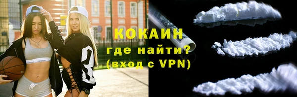 крисы Белокуриха