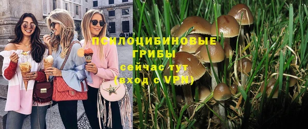 экстази Богданович