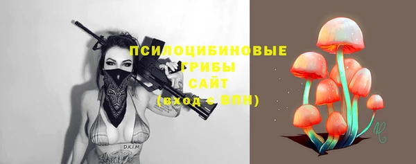 крисы Белокуриха
