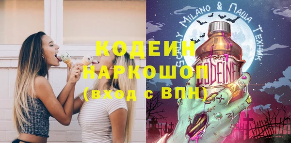 стаф Богородск