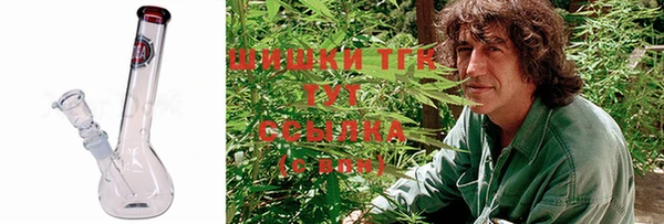 дмт Богородицк