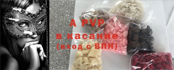 крисы Белокуриха