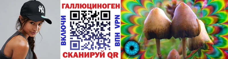 Псилоцибиновые грибы Magic Shrooms  Судогда 